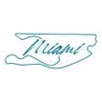程序图标：F1 CRYPTO.COM MIAMI GP