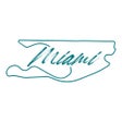 プログラムのアイコン：F1 CRYPTO.COM MIAMI GP