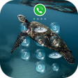 プログラムのアイコン：AppLock Theme - SeaTurtle