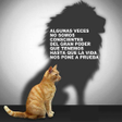 プログラムのアイコン：Reflexiones Hermosas de l…