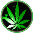 Programikonen: Weed Rasta Smoke Wallpape…