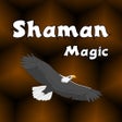Programikonen: Shaman Magic
