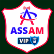 プログラムのアイコン：ASSAM VIP VPN