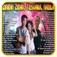 Programikonen: Zinidin Zidan Feat Tri Su…