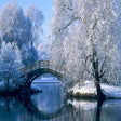 Programikonen: Central Park Wallpaper HD…
