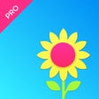 プログラムのアイコン：Skywall Pro - HD+ Wallpap…