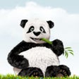 Icoon van programma: TinyPNG
