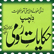 Icon of program: Dilchasp Hakayaat-e-Roomi