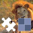 Icon of program: Play with animals