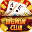 程序图标：BigwinClub