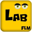 Programikonen: FLM Labyrinth