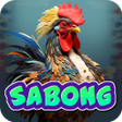 程序图标：Pinaka Sabong  Color Game