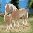 プログラムのアイコン：Horse Paradise - My Dream…