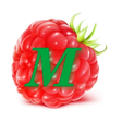 程序图标：Малинка