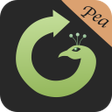 Programikonen: Pea Option