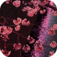 Programikonen: Japanese Sakura Garden Vi…