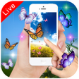 程序图标：Butterfly Live Wallpaper …