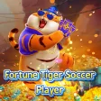 Happy tiger Soccer66 game