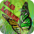 Programikonen: Kashmir Flag Photo Editor