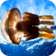 プログラムのアイコン：Jellyfish Video Live Wall…