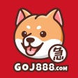 Ikona programu: GoGoJumpVPN