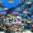 Programikonen: Abubu ocean live wallpape…