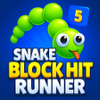 ไอคอนของโปรแกรม: Snake Block Hit Runner