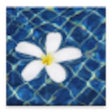 Ikon program: TOTD - Thought Of The Day