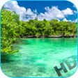 Programikonen: Paradise Video Live Wallp…