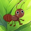 Icoon van programma: Ant Maestro