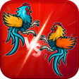 أيقونة البرنامج: DAGA : Roaster Fight