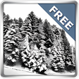 Programikonen: Snowfall 360 Free