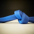 Иконка программы: BJJ Blue Belt Requirement…