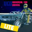 Universal Car Driving - LITE