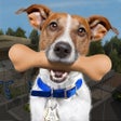 Programikonen: Animal Rescue - Dog Simul…