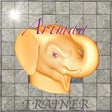 ไอคอนของโปรแกรม: Arimaa Trainer