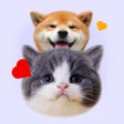 ไอคอนของโปรแกรม: 猫狗交流大师-狗语猫语翻译器