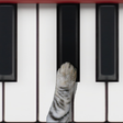 Ikon program: Cat Piano