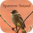 Ikon program: Sparrow Sounds - Free Sou…