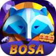 Programikonen: Bosa