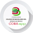 程序图标:COBAEM