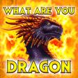 Programikonen: Test: What dragon are you…