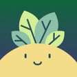 Ícone do programa: Planty: Plant Identifier …