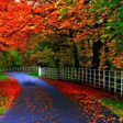 Programikonen: HD Wallpapers