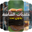 أيقونة البرنامج: خلفيات الشاشة روعة بدون ن…