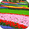 Ikon program: Garden Wallpaper HD