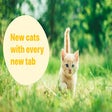 Icon of program: Tabby Cat - New cats with…