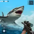 Angry Shark Revenge Shark Game