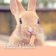أيقونة البرنامج: Cute Theme-Rabbit's Lunch…