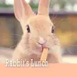 Cute Theme-Rabbit's Lunch-